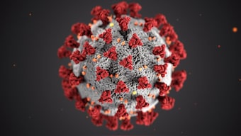 Androgen receptor inhibitors used to treat prostate cancer may also be effective against COVID-19, suggests study