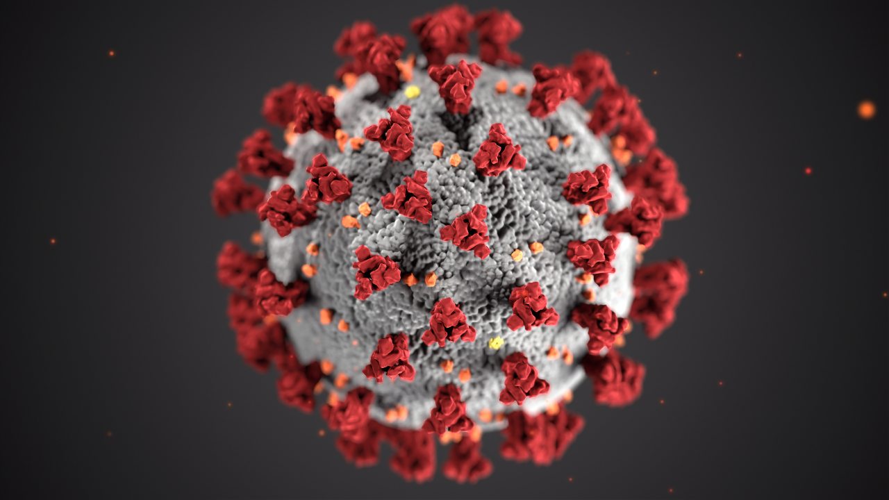Health ministry calls urgent meeting today to discuss potent new strain of coronavirus in UK Health ministry calls urgent meeting today to discuss potent new strain of coronavirus in UK
