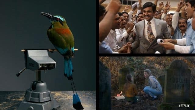 From Atlas Obscura's taxidermy course to SonyLIV's Scam 1992 to Netflix's The Haunting of Bly Manor, a list of virtual engagements for this week.