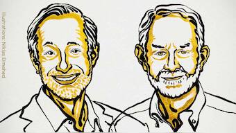 Nobel Prize in Economics awarded to Paul Milgrom, Robert Wilson for contributions and innovation in auction theory