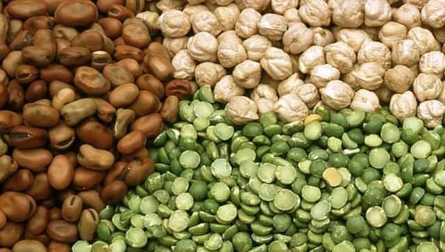 World Vegetarian Day 2020: Rapeseed, soy and other sources of plant-based protein to supplement Indian vegetarian diet World Vegetarian Day 2020: Rapeseed, soy and other sources of plant-based protein to supplement Indian vegetarian diet