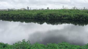 An architecture student’s vision for a greener Mumbai: Re-negotiating the lost edge of river Mithi