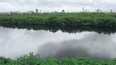 An architecture student’s vision for a greener Mumbai: Re-negotiating the lost edge of river Mithi