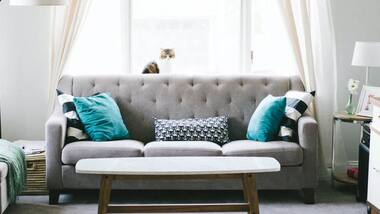 Influencer accidentally pays Rs 82 lakh for couch, later begs for donation from followers