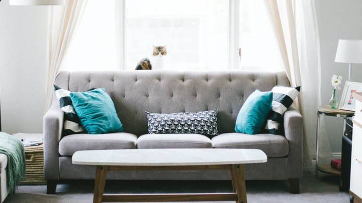 Influencer accidentally pays Rs 82 lakh for couch, later begs for donation from followers