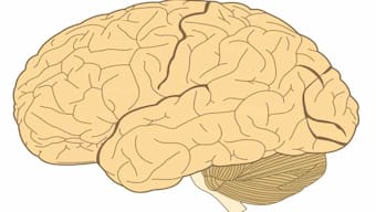 Blood sugar control may help diabetes patients boost brain health, new study reveals