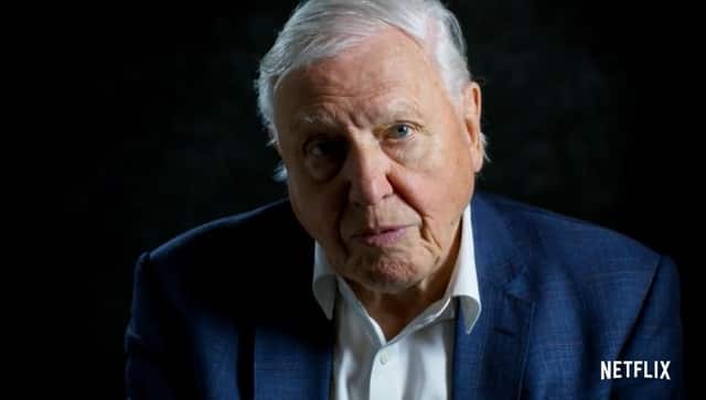 David Attenborough | Netflix