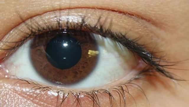 Using blue light filtering glasses improves sleep and productivity levels next day, claims study Using blue light filtering glasses improves sleep and productivity levels next day, claims study