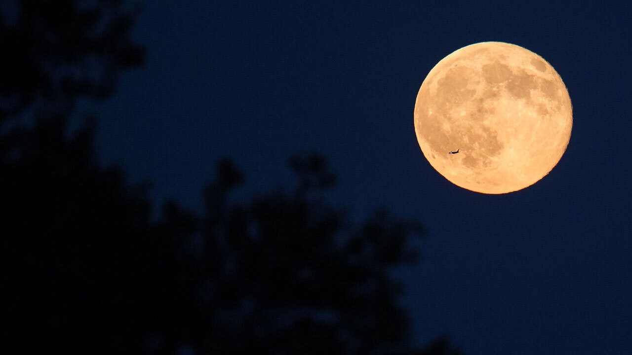 Spooky season: Rare blue moon to grace the night skies across the world on Halloween, 31 October Spooky season: Rare blue moon to grace the night skies across the world on Halloween, 31 October