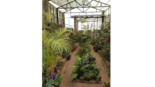 One of the greenhouses. Photo courtesy Beulah Kolhatkar
