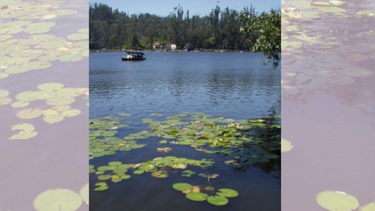 Tank tourism can help build water resilience in Indian cities; being local, outdoors and socially-distanced make it timely