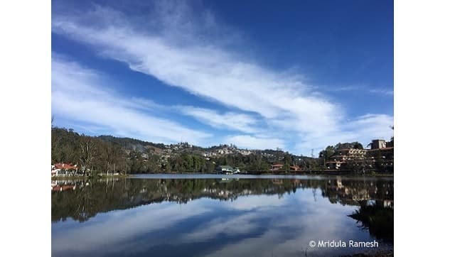 The Kodaikanal Lake is a manmade lake, created by Vere Henry Levinge, by damming three streams. All images courtesy the author, unless indicated otherwise.