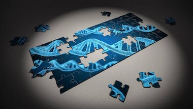 DNA Technology Regulation Bill: Will the Standing Committee's concerns about privacy, capacity be addressed by Parliament?