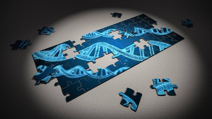 Genome analysis of Africans shed light on ancient migrations, modern susceptibility, disease resistance