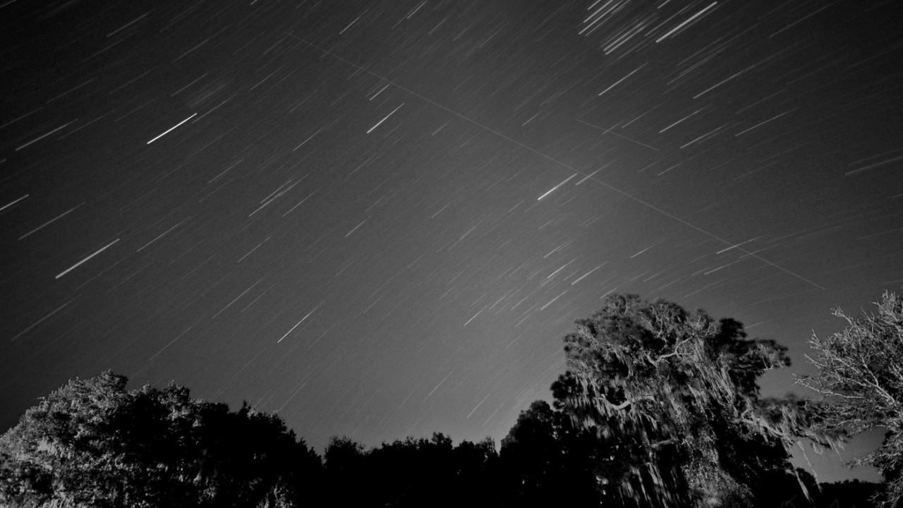 The Leonids meteor shower, Image credit: Flickr/Drew Wilson