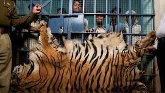 International wildlife forensics e-conference ends, draws attention to wildlife crime, biotech solutions
