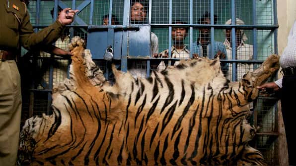 International wildlife forensics e-conference ends, draws attention to wildlife crime, biotech solutions
