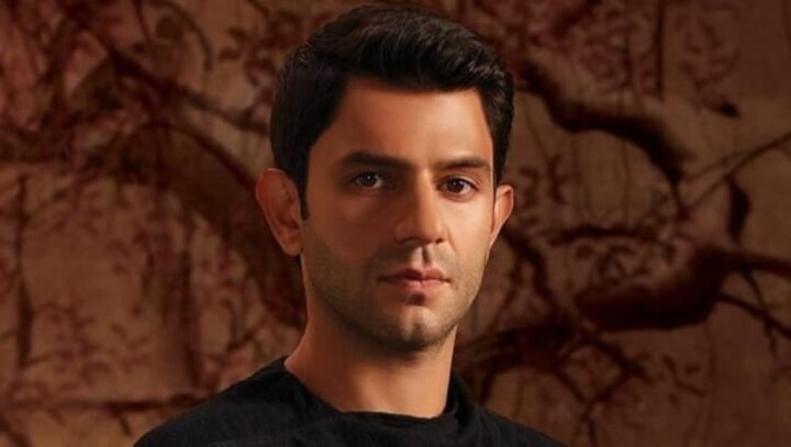 Arjun Mathur weigs in on OTT regulations, says 'it's every artiste's right to fight for art'