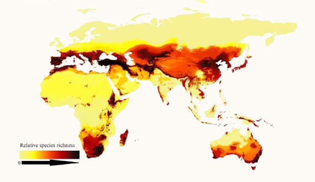 A look at relative species richness of bees around the world, showing how bees prefer arid, temperate regions rather than the tropics. Areas with darker colors have more species. Image credit: ORR ET AL./CURRENT BIOLOGY