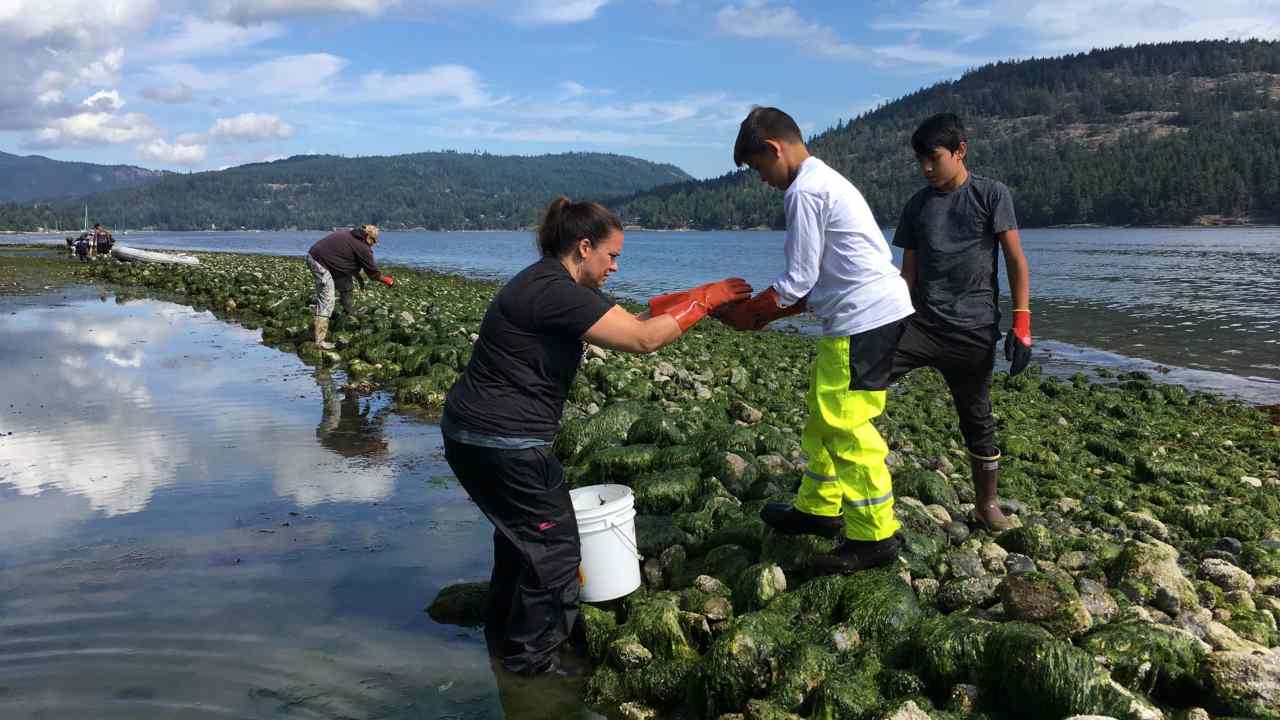 An architecture student’s vision for a greener Mumbai: Building social, ecological resilience of the city's Eastern waterfront An architecture student’s vision for a greener Mumbai: Building social, ecological resilience of the city's Eastern waterfront