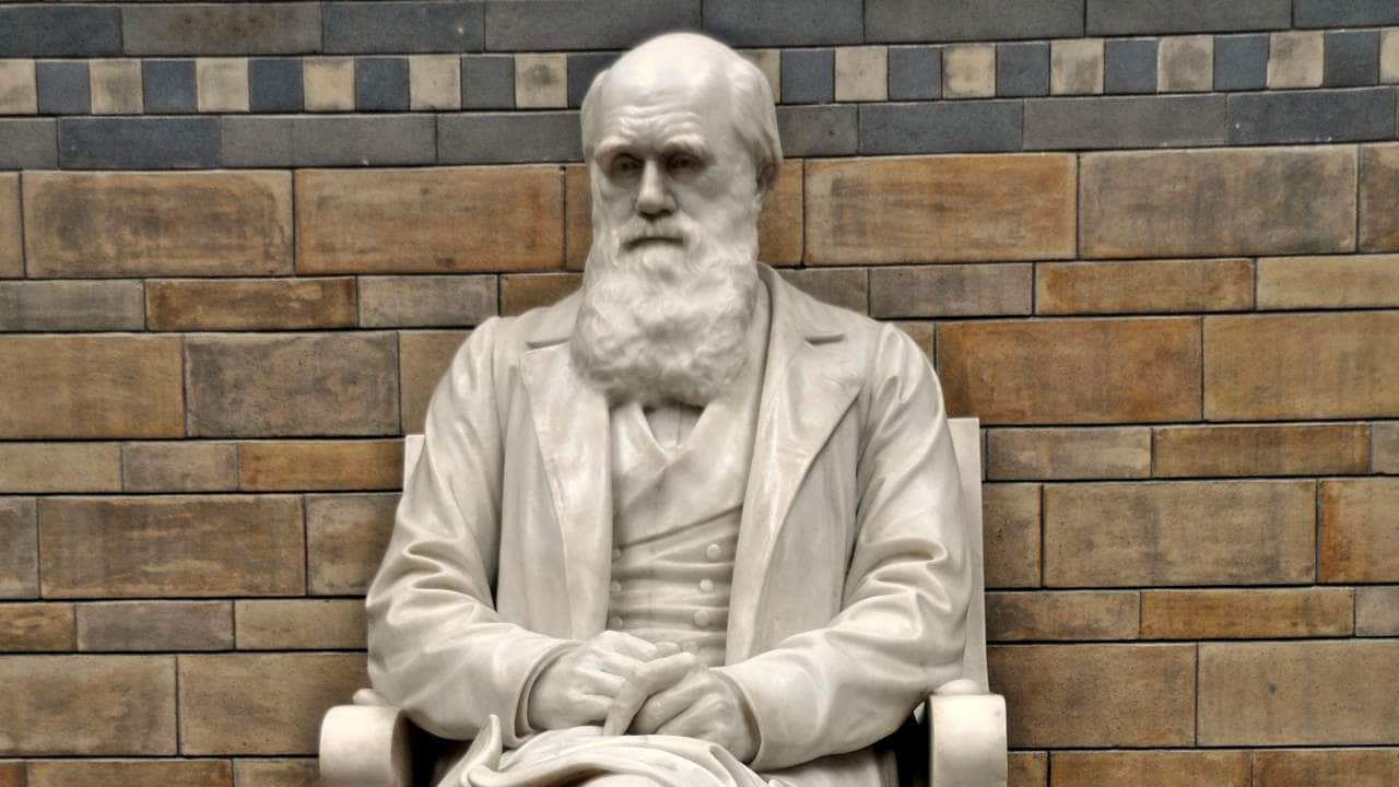 A major search this year in the university library failed to turn up two of Charles Darwin's notebooks and curators believe that they were stolen. Image credit: Wikipedia 
