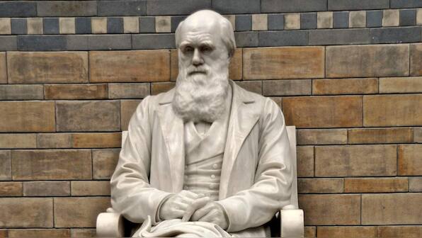 Two Charles Darwin's books go missing form Cambridge University's library