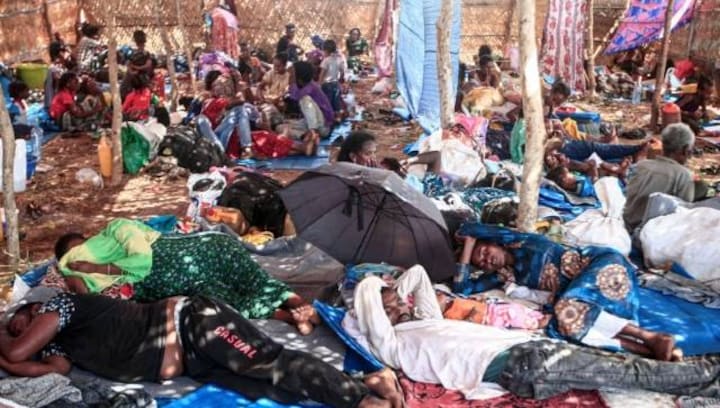 'Full-scale humanitarian crisis unfolding' in Ethiopia, says UN as thousands flee conflict-torn Tigray region