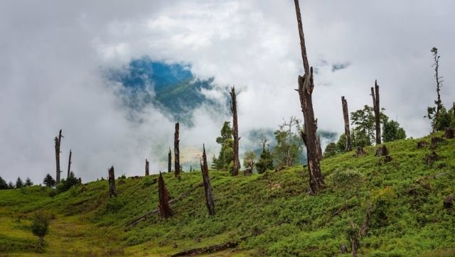 With rampant habitat fragmentation, how the Hindu Kush Himalayas could be the next pandemic hotspot With rampant habitat fragmentation, how the Hindu Kush Himalayas could be the next pandemic hotspot