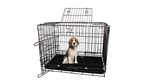 Kennels that make great homes for your furry friends Kennels that make great homes for your furry friends