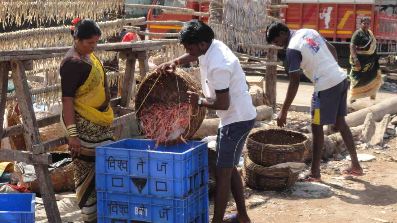 An architecture student’s vision for a greener Mumbai: A case of coastal communities adapting to sea-level rise An architecture student’s vision for a greener Mumbai: A case of coastal communities adapting to sea-level rise