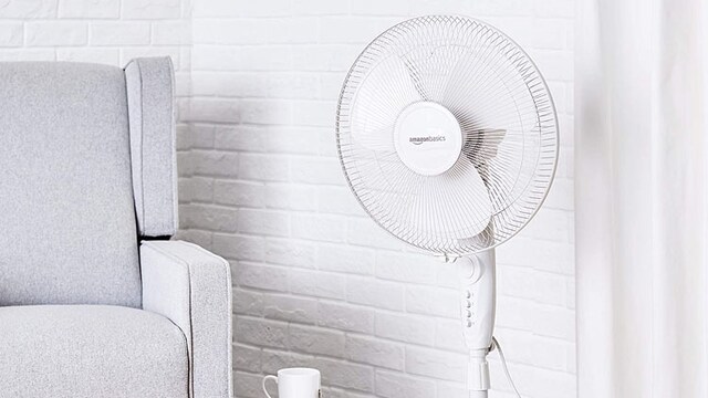 Five Best Pedestal Fans That’ll Beat The Heat Five Best Pedestal Fans That’ll Beat The Heat