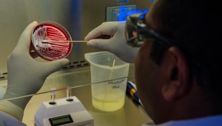 Gut-lung axis: Intestinal microbiome and metabolite changes may be linked to COPD, reveals study