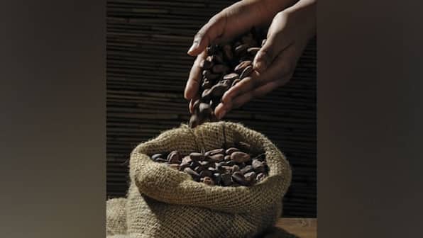 Flavanols in cocoa improve brain vascular function, cognition in young, healthy adults, says new study