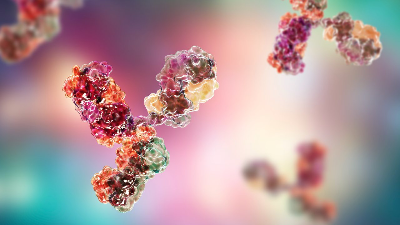 What are monoclonal antibodies ? Why do we need them as well as a COVID-19 vaccine? What are monoclonal antibodies ? Why do we need them as well as a COVID-19 vaccine?