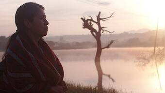 Fernanda Valadez’s Identifying Features, playing at Dharamshala, is a poignant drama about would-be illegal migrants