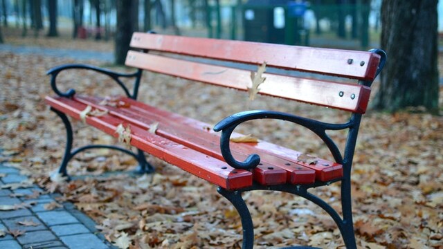 Patio benches to have a great time outdoors Patio benches to have a great time outdoors