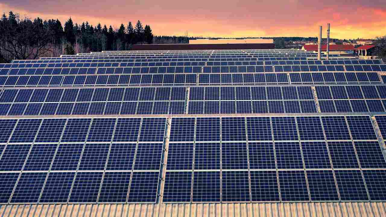 Wind, solar panels will soon become top source of electricity; surpasses natural gas, coal: IEA report Wind, solar panels will soon become top source of electricity; surpasses natural gas, coal: IEA report