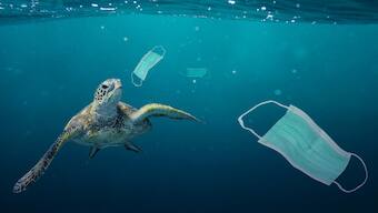 Plastic pollution: What happens to the plastic after it enters the ocean?
