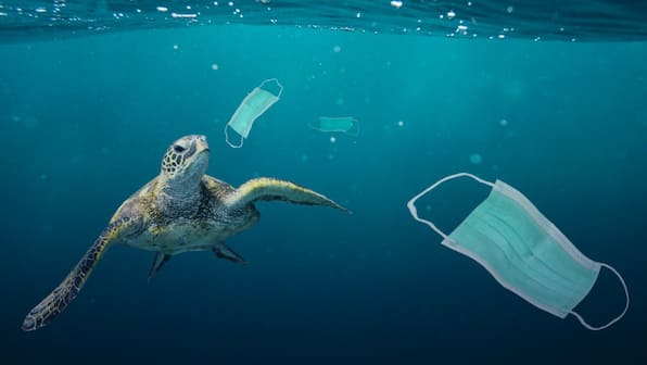 Plastic pollution: What happens to the plastic after it enters the ocean?