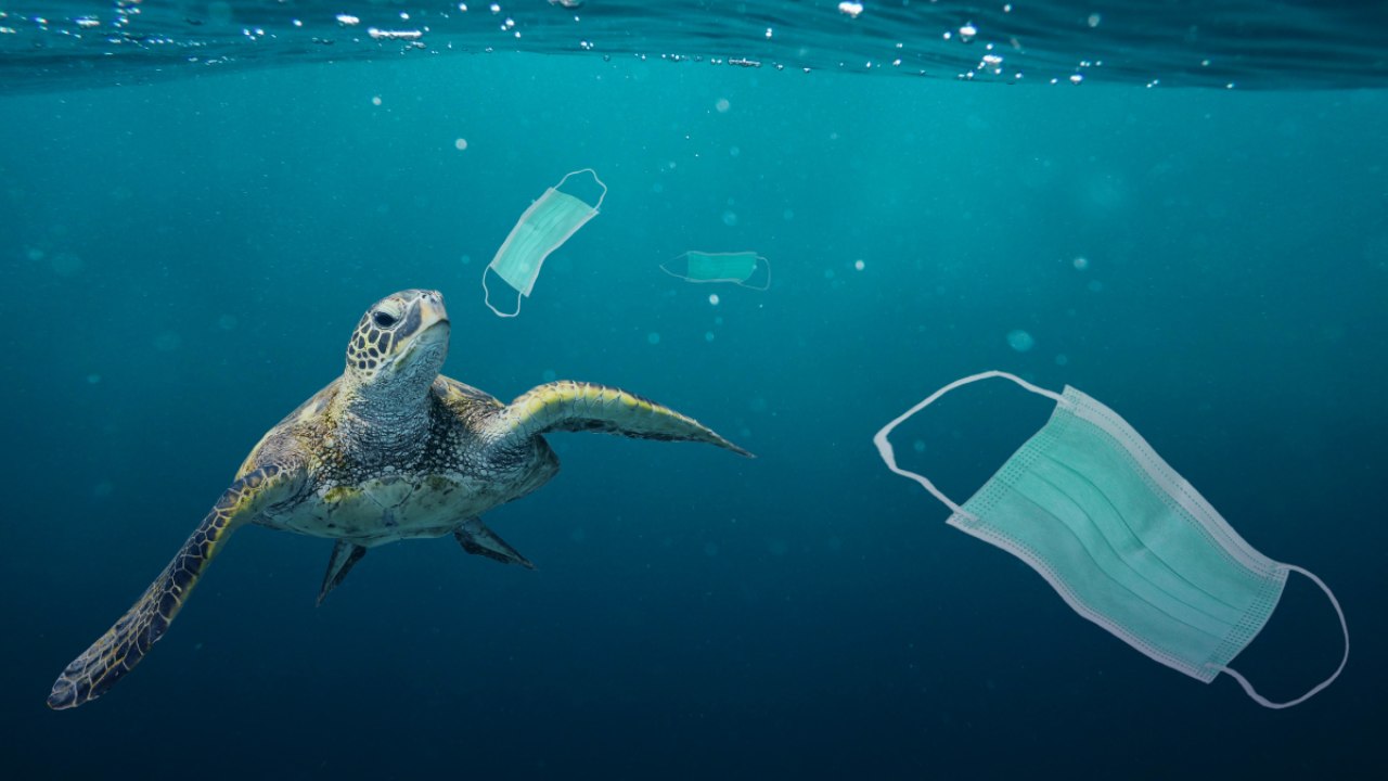 Plastic pollution: What happens to the plastic after it enters the ocean? Plastic pollution: What happens to the plastic after it enters the ocean?