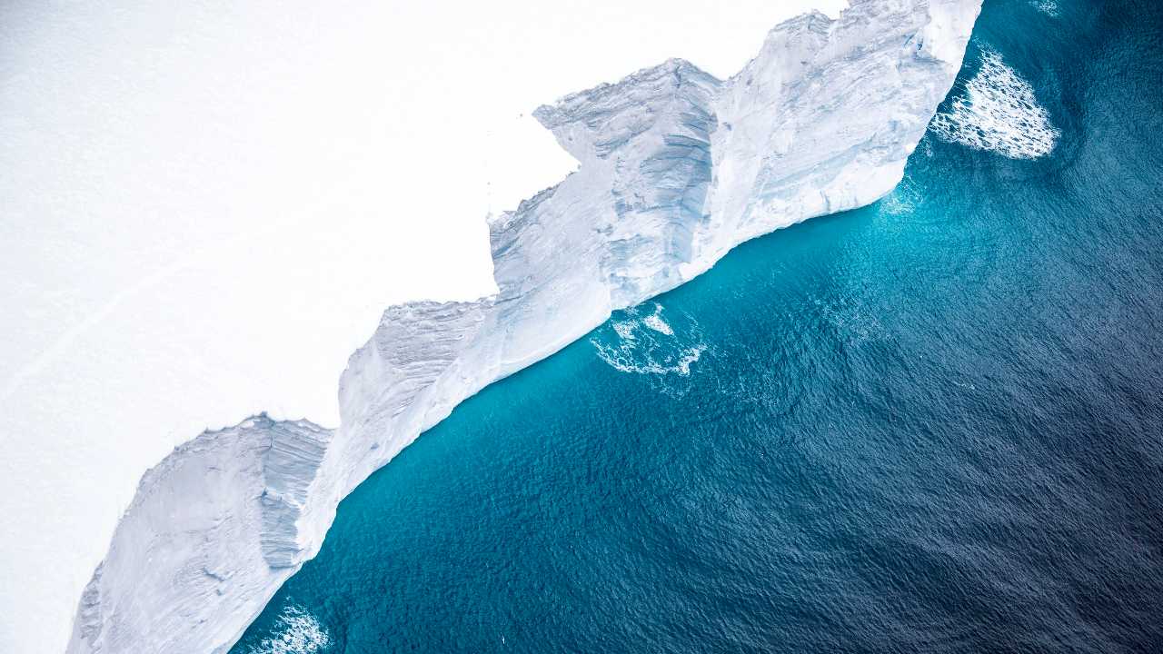 New expedition will look at the impact of a giant iceberg on marine, wildlife of Antarctica's island New expedition will look at the impact of a giant iceberg on marine, wildlife of Antarctica's island