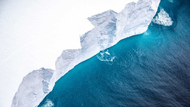 New expedition will look at the impact of a giant iceberg on marine, wildlife of Antarctica's island