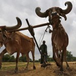 Farm laws: News18 survey indicates majority backs reforms but Modi must persist with persuasive engagement with protestors