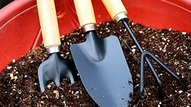Best gardening tools for your little gardeners aged 3 and above Best gardening tools for your little gardeners aged 3 and above