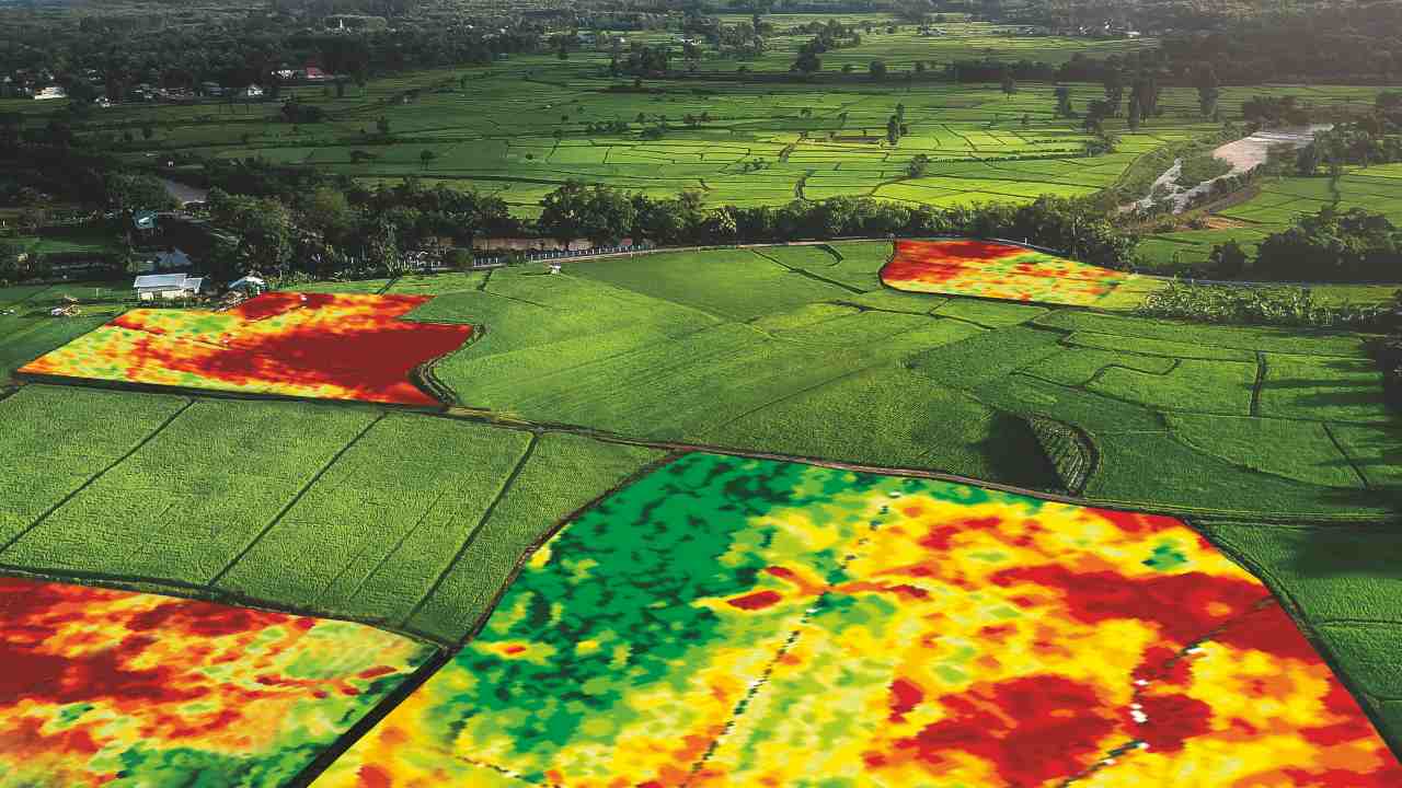 Farmers are now accessing advanced satellites to provide near-live images of fields and crop damage. Image Credit: RHIZA/Em7