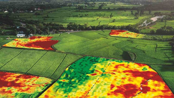 Precision agriculture could boost India's food production capacity, encourage sustainable farming
