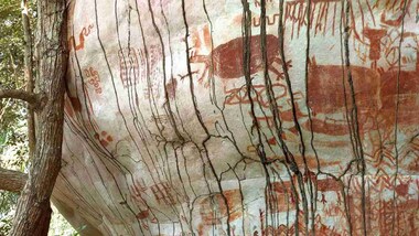 Rock art gives proof earliest inhabitants of rainforest lives alongside Ice Age animals
