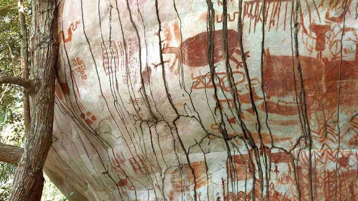 Rock art gives proof earliest inhabitants of rainforest lives alongside Ice Age animals