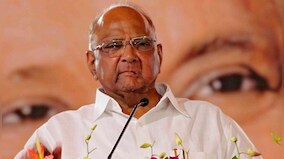 'Have no allegation against any political agenda': Sharad Pawar tells Koregaon-Bhima panel
