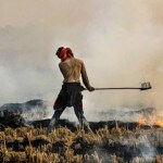 Stubble burning should be seen through behavioural lens; providing cost, time-effective alternatives key to ending practice
